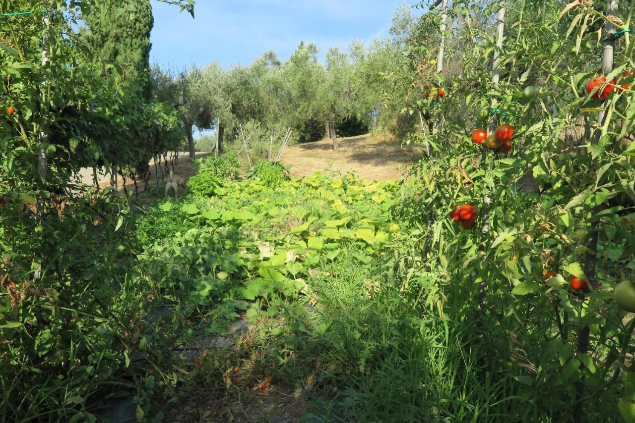 Banks 1 Villa Vezzano Ligure Bagian luar foto