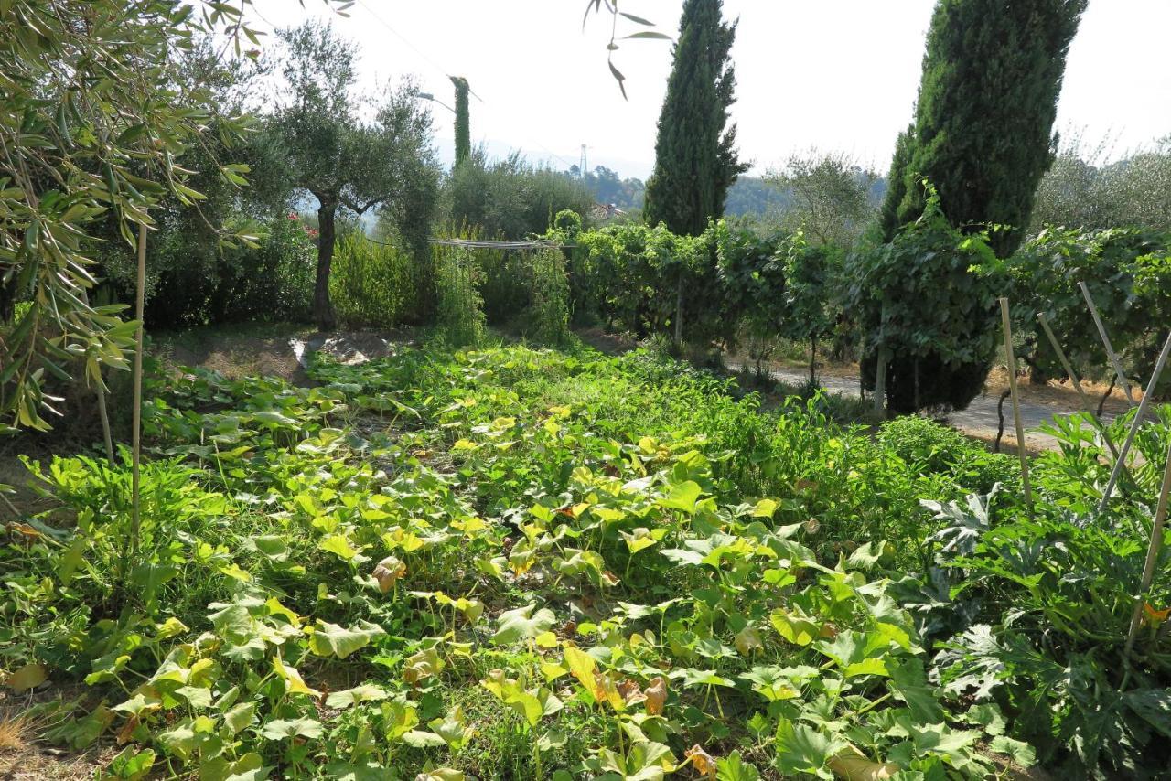 Banks 1 Villa Vezzano Ligure Bagian luar foto